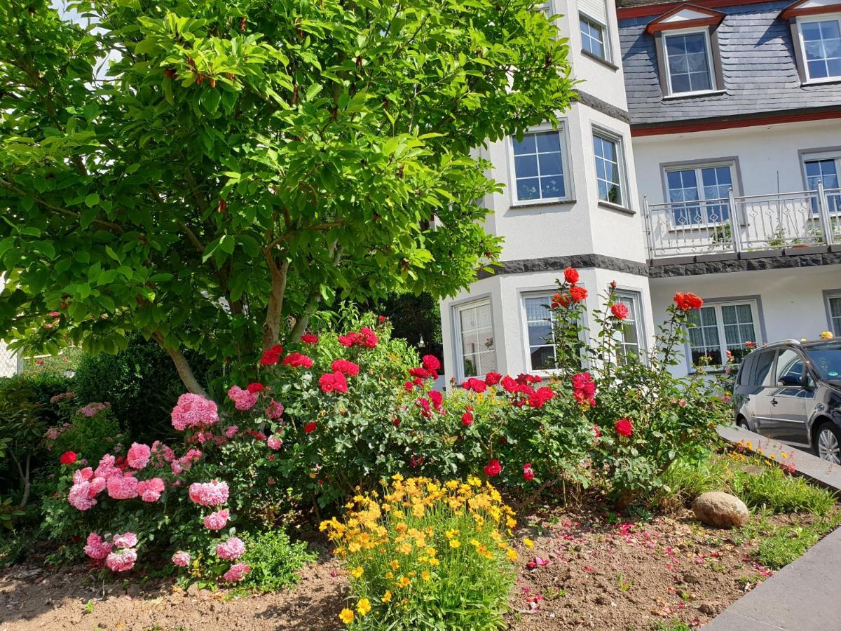 Ferienwohnung Thoennes Müden Exterior foto